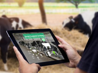 Someone using a tablet and VR to take care of farm animals.