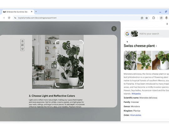 Google Lens on the Desktop.